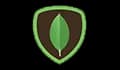 MongoDB