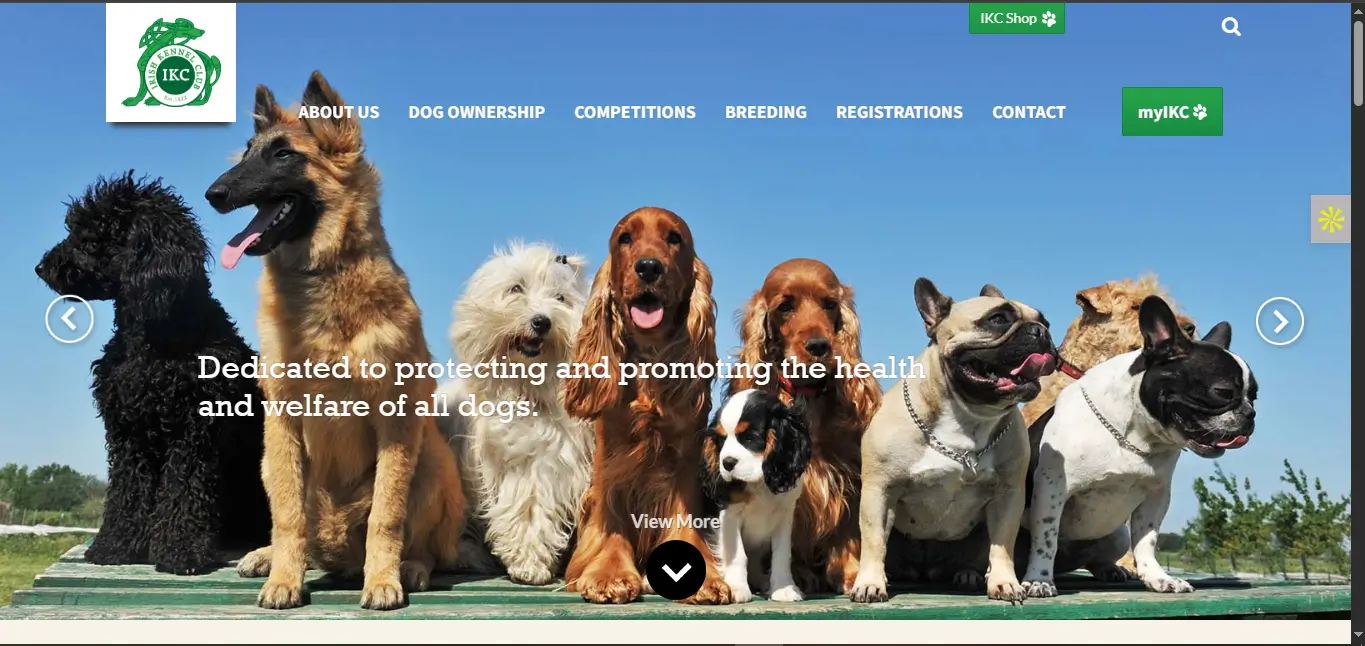 Home | The Irish Kennel Club