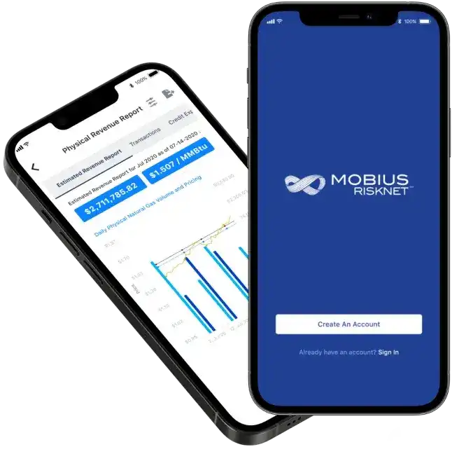 web development company