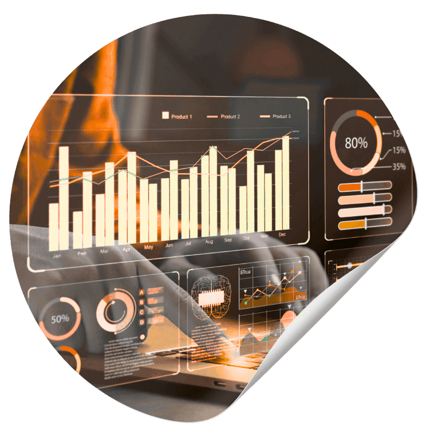 data insight services